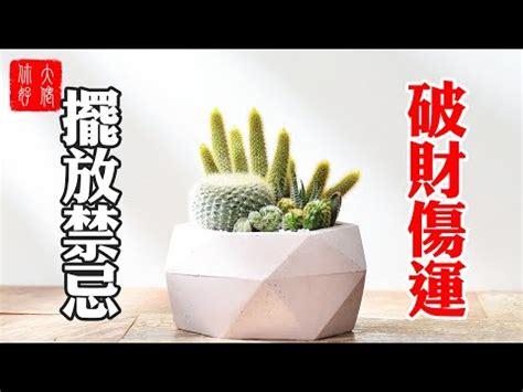 仙人掌可以放廁所嗎